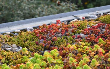 the cost of Monaughty green roof installation