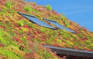 Monaughty living roof systems
